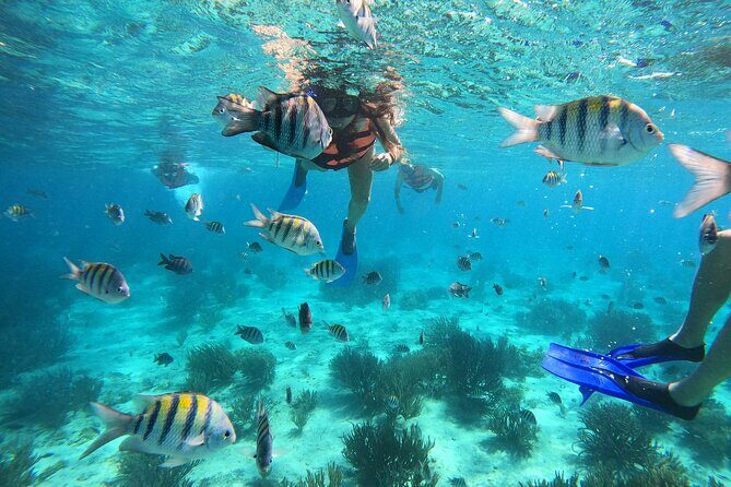 3 Hours VIP Semiprivate Tour Isla Mujeres Full Snorkeling Experience - Key highlights at a glance