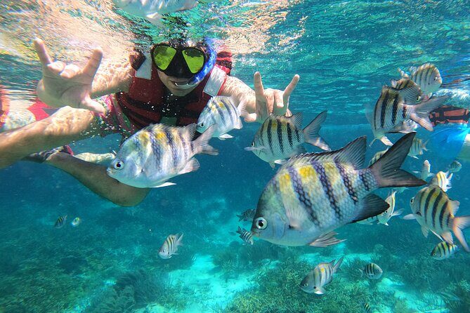 3 Hours VIP Semiprivate Tour Isla Mujeres Full Snorkeling Experience - Price and value: the $88 math that actually matters
