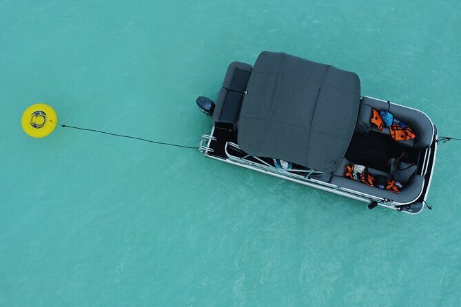 3 hr Pontoon Tour with access to Beach Club and Free Kayaks - From Casa China to the Lagoon: What Your 3 Hours Look Like