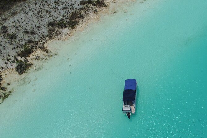 3 hr Pontoon Tour with access to Beach Club and Free Kayaks - Cenote de la Bruja: A Fresh-Water Stop on the Route