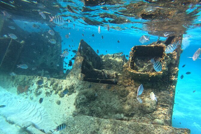 3 in 1 Jungle Tour Adventure Cancun - The shipwreck stop for a second kind of reef life