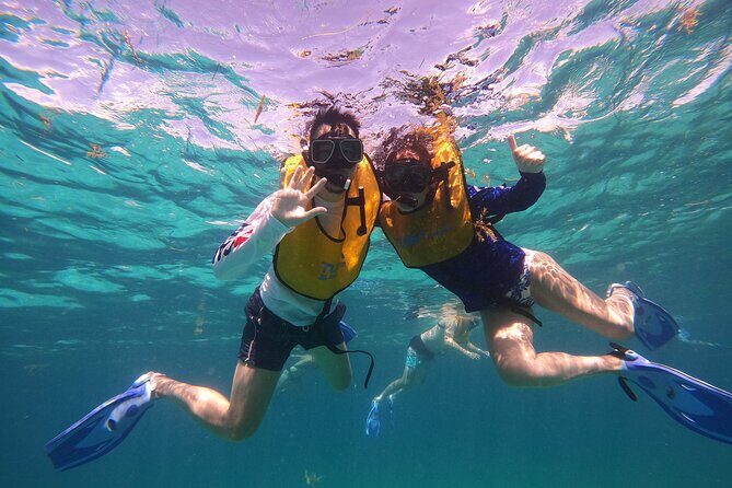 3 in 1 Jungle Tour Adventure Cancun - What’s included, and what you’ll pay at check-in