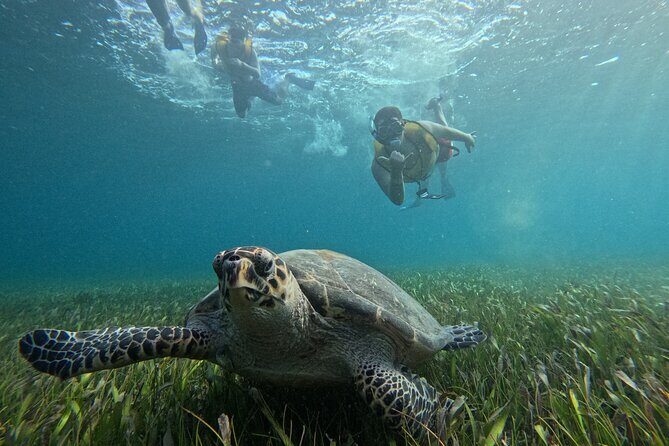 3 in 1 Jungle Tour Adventure Cancun - Driving your own speedboat through Nichupté Lagoon