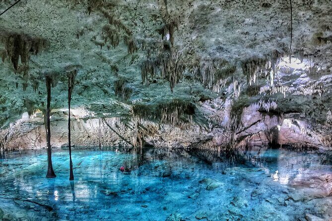 3 in 1 Private Tour Tulum Cenote and Snorkeling in the reef - The guide factor: why Limbert and Ulises get such strong praise