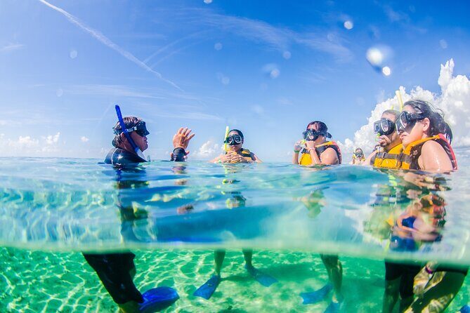3-in-1 Puerto Morelos: Snorkeling, Tequila & Beachside Lunch - Why this 4-hour Puerto Morelos plan feels like good value
