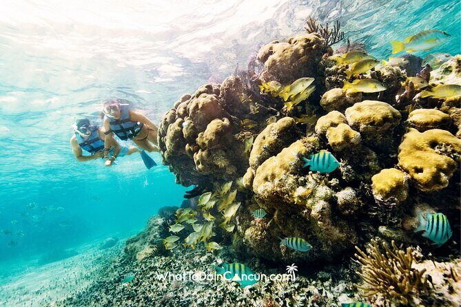 3-in-1 Puerto Morelos: Snorkeling, Tequila & Beachside Lunch - Puerto Morelos free time: use it to slow down, not to sprint