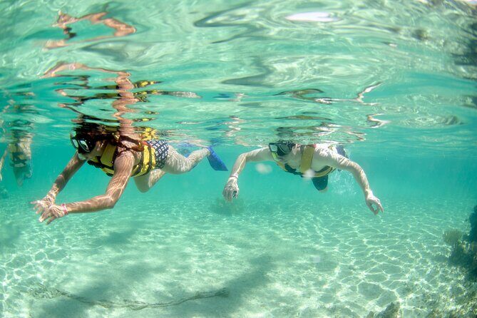 3-in-1 Puerto Morelos: Snorkeling, Tequila & Beachside Lunch - The cancellation and weather factor (short and practical)