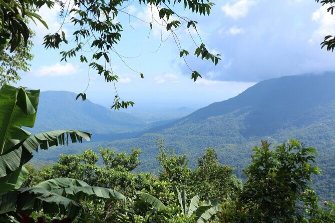 3 Levels of Huatulco the coffee you've been looking for - A family coffee farm taught by growers, not slides