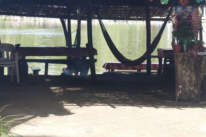 3 Palos Lagoon AfroMex Village Turtle Release & Croc Farm Visit - Lagoon Stop One: canals, flora, and pelicans close enough to matter