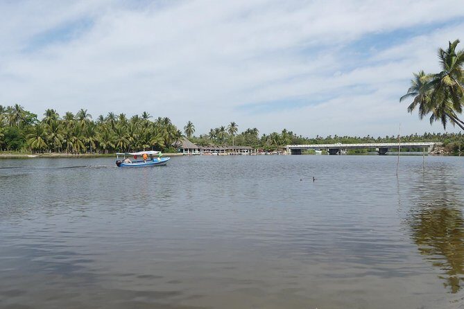3 Palos Lagoon AfroMex Village Turtle Release & Croc Farm Visit - Croc farm visit: a second look at local wildlife care