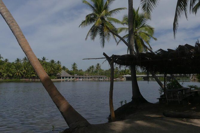 3 Palos Lagoon AfroMex Village Turtle Release & Croc Farm Visit - Lunch in the AfroMex village: Pescado a la Talla and a real break