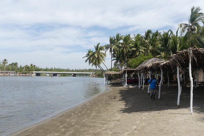 3 Palos Lagoon AfroMex Village Turtle Release & Croc Farm Visit - Guides and the storytelling factor: bird talk and practical confidence