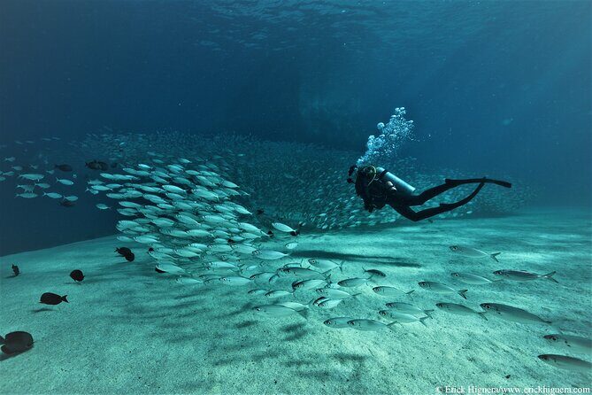 3-Tank Scuba in Marine Reserve and Corridor for Certified Divers - Price and what you actually get for $210