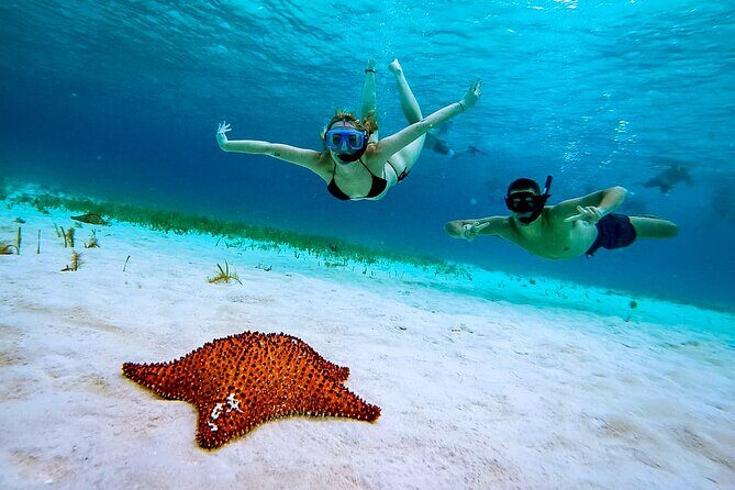 4 Hour Cozumel Reefs Snorkeling - Key things that make this snorkeling tour worth a look