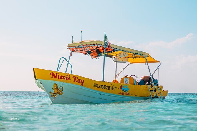 4 Hour Cozumel Reefs Snorkeling - The Boat Reality: Small Group, Open Water, and Choppy Seas