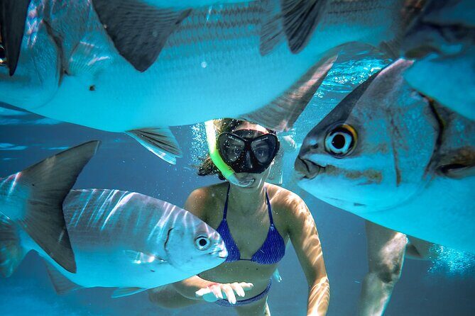 4 Hour Cozumel Reefs Snorkeling - El Cielito Sandbank: Why a Sand Stop Works Between Reefs