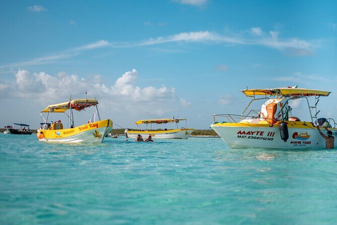 4 Hour Cozumel Reefs Snorkeling - Palancar and Colombia Reefs: Where the Underwater Action Usually Lives