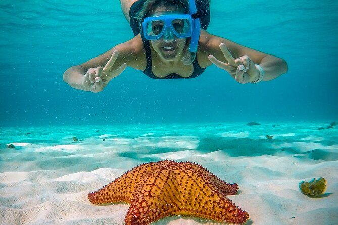 4 Hour Cozumel Reefs Snorkeling - Meeting Point at Marina Cozumel ASIPONACarr: Timing Matters for a Half-Day