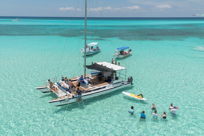 4 Hour Cozumel Turtle Sanctuary Experience on a Luxury Catamarán - A 4-hour reef cruise that packs in turtle and starfish time