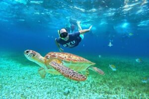 4 Hour Cozumel Turtle Sanctuary Experience on a Luxury Catamarán - Stop 1: major reef snorkeling where the guide keeps the group safe