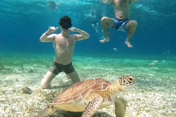 4 Hour Cozumel Turtle Sanctuary Experience on a Luxury Catamarán - El Cielo starfish sanctuary on white sand