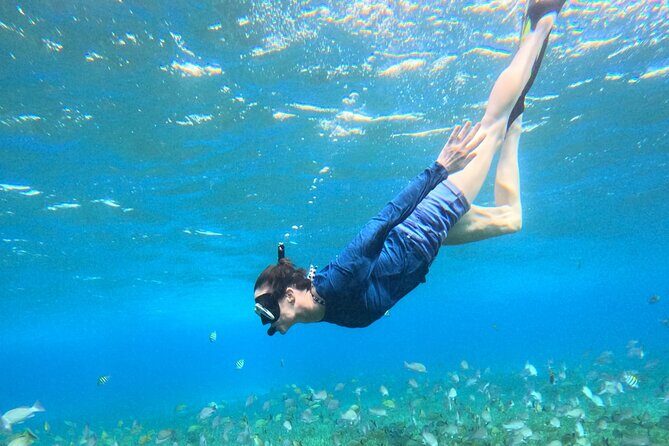 4 Hour Cozumel Turtle Sanctuary Experience on a Luxury Catamarán - Cielito sandbank: snacks, shallow water, and extra marine surprises