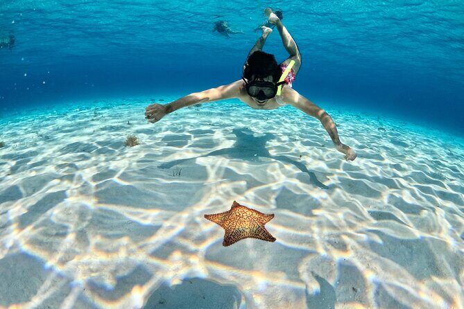 4 Hour Cozumel Turtle Sanctuary Experience on a Luxury Catamarán - Snorkel guide style: what staying together changes