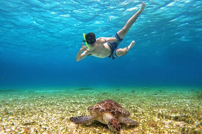 4 Hour Cozumel Turtle Sanctuary Experience on a Luxury Catamarán - Food, drinks, and the reality of margaritas at sea