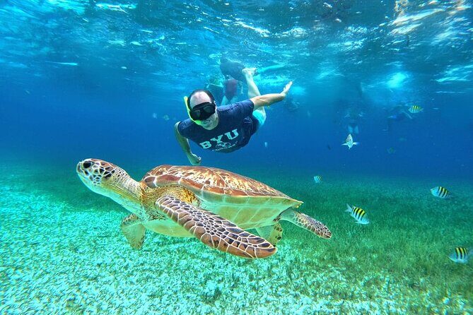 4 Hour Cozumel Turtle Sanctuary Experience on a Luxury Catamarán - Stop 1: major reef snorkeling where the guide keeps the group safe