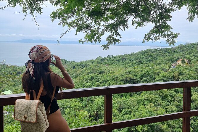 4-Hour Jungle Hike and Waterfall Swim - River Crossings and the Fishy Swim: The Water Part Isn’t a Costume