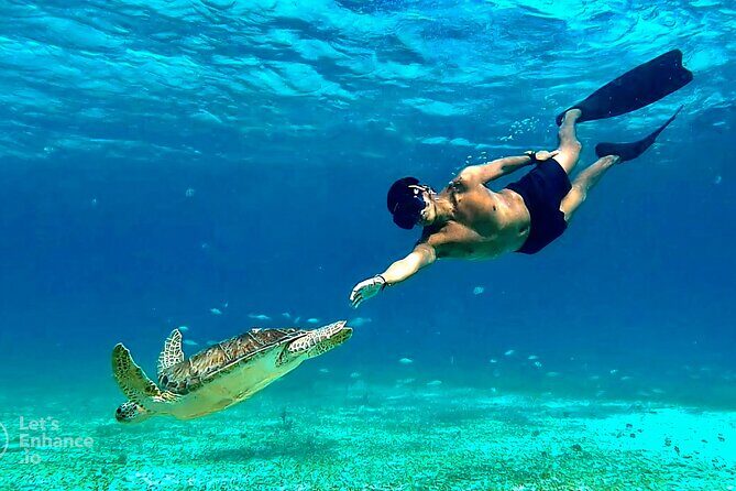 4 Hour Snorkeling Tour in Cozumel - Key Points Before You Go