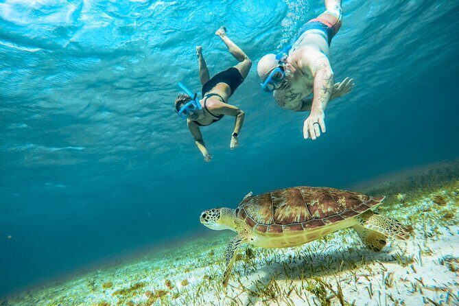 4 Hour Snorkeling Tour in Cozumel - Boat size, crew energy, and the wildlife you might spot
