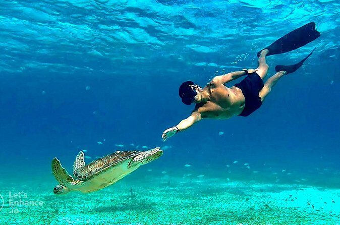 4 Hour Snorkeling Tour in Cozumel - Price and the real value of your $65