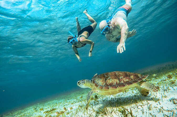 4 Hour Snorkeling Tour in Cozumel - Getting from your ship to the marina: avoid the 15-minute taxi surprise