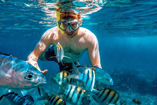 4 Hour Snorkeling Tour in Cozumel - Who should book this snorkeling tour in Cozumel