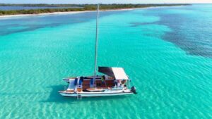 4 Hour Turtle Sanctuary Experience on a Luxury Catamarán - Turtle Sanctuary Snorkeling in Cozumel: Green Turtles in Their Element