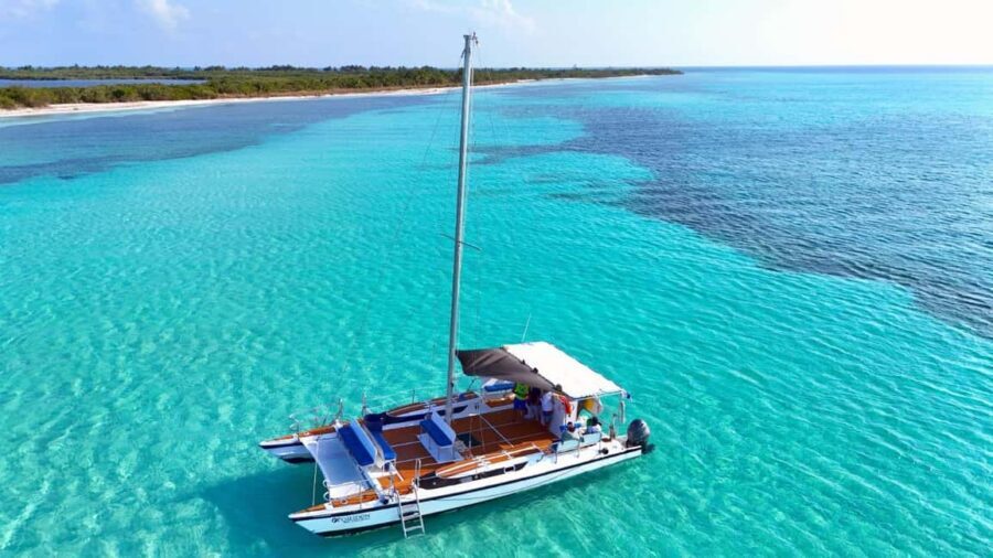 4 Hour Turtle Sanctuary Experience on a Luxury Catamarán - El Cielo Starfish Sanctuary: White Sand, Red and Orange Stars