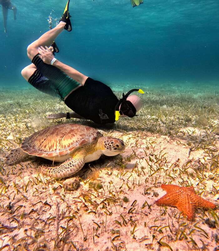 4 Hour Turtle Sanctuary Experience on a Luxury Catamarán - Price and Value for $78: When This Catamaran Day Pays Off
