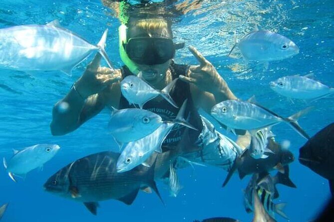 4 hours of shared snorkeling to El Cielo - Value Math: Why This Tour Can Be a Good Deal