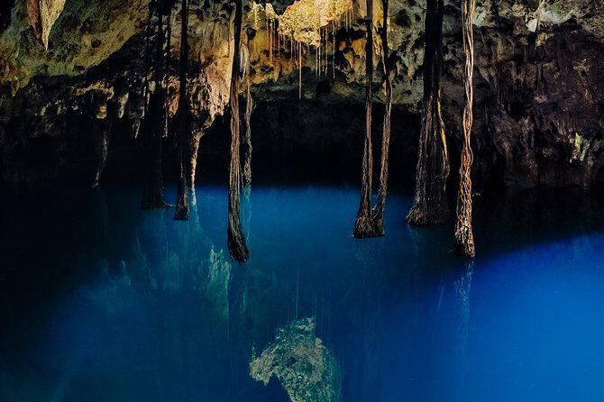 4-in-1 Cenote Tour Guided Experience with Breakfast, Lunch & Wine - Lu’um (Earth) and Há (Water): Rappelling into Caves and Exploring Underwater Gardens