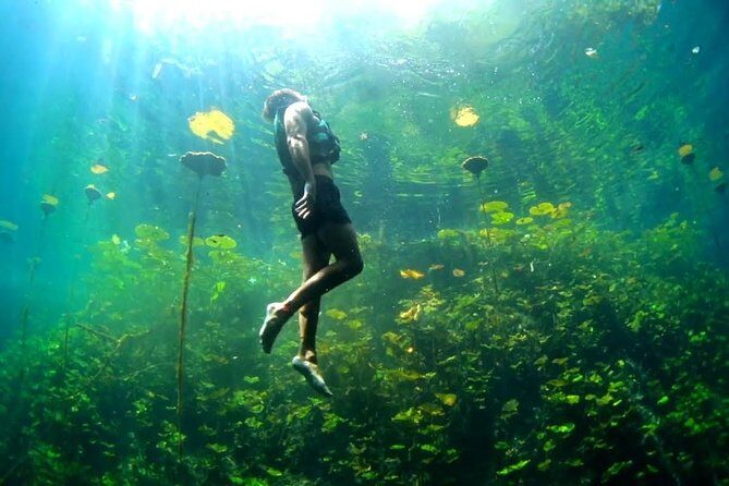 4-in-1 Cenote Tour Guided Experience with Breakfast, Lunch & Wine - Getting to Xenotes Oasis Maya: Pickup, Ride Time, and Comfort Reality Checks