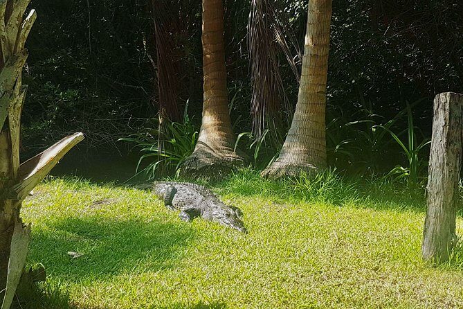 4-in-1 Tour - Mazunte,Cacao Factory, La Ventanilla & Turtle Spawn - Mazunte free time: use your hour wisely