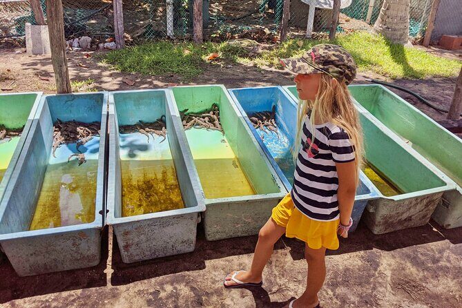 4-in-1 Tour - Mazunte,Cacao Factory, La Ventanilla & Turtle Spawn - La Ventanilla Lagoon: mangroves, birds, and crocodile country