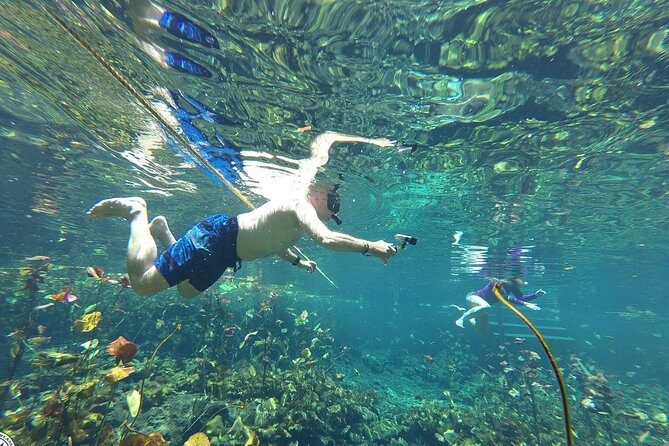 4 Private Cenotes, Zip-Lines, Canoes & Mayan Village with Delicious Lunch - Guides and group feel: private doesn’t mean chaotic