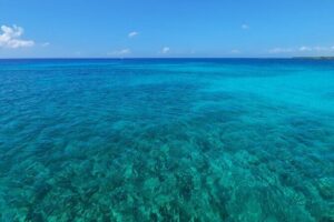 4H Luxury 44' Catamaran All-Inclusive in Tulum & Playa del Carmen - The 44-foot catamaran setup: comfort plus included gear