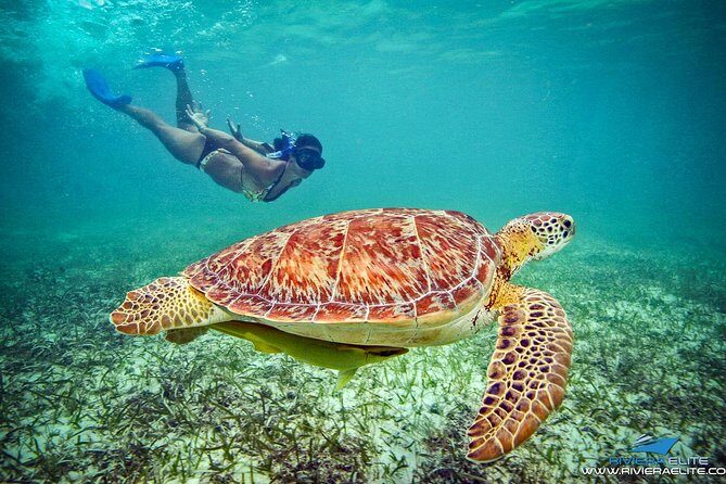 4H Private 38'Catamaran All-Inclusive in Tulum & Playa del Carmen - Timing on the Boat: What Fills the 4 Hours