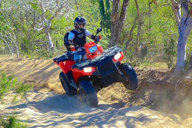 4x4 ATV Adventure with Tequila Tasting and Mexican Buffet Lunch - The Pickup Drive Along the Pacific: Whale Chances Included