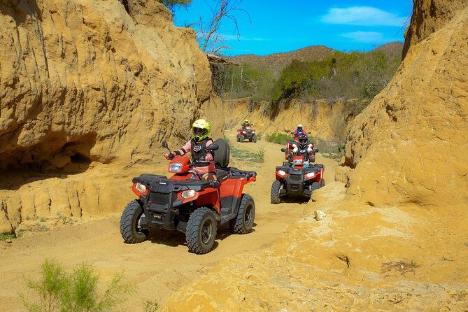 4x4 ATV Adventure with Tequila Tasting and Mexican Buffet Lunch - The Baja Desert Route: Dusty Trails, Cactus Arroyos, Shallow Canyons