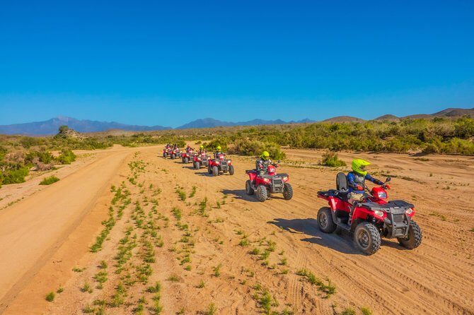 4x4 ATV Adventure with Tequila Tasting and Mexican Buffet Lunch - Ocean-Front Buffet and Homemade Quesadillas: The Best Part After the Dust