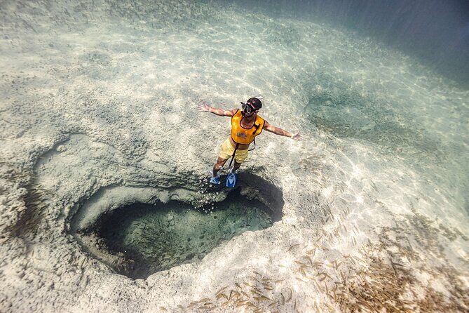 5-in-1 Cancun Snorkeling Tour with Sea Life & Transport Included - Key things worth getting excited about